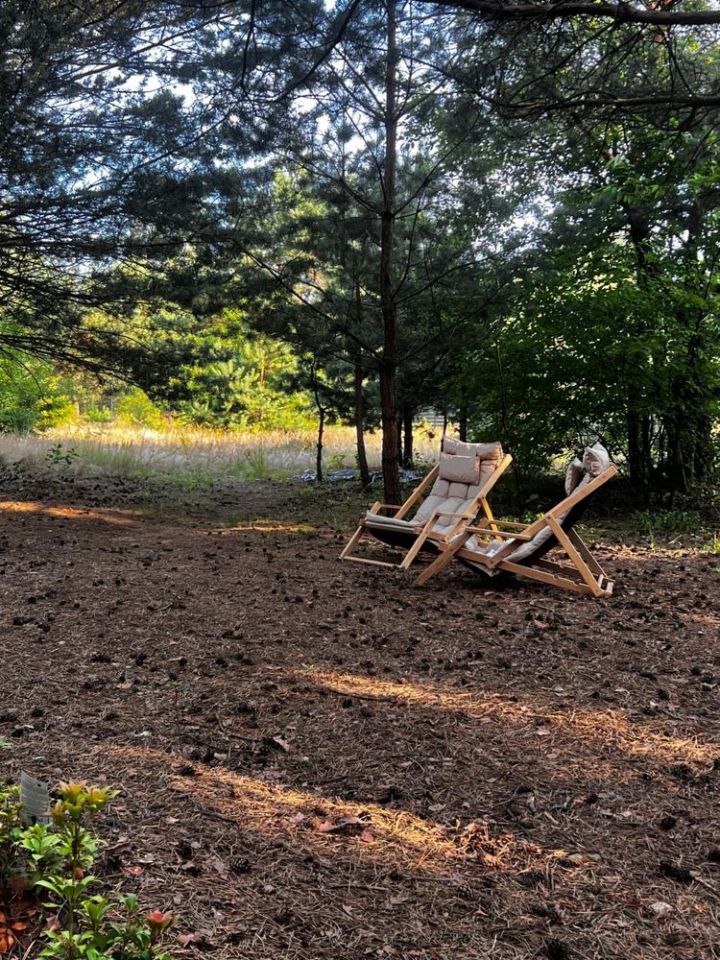 Działka rod Nowe Bosewo. Zdjęcie 5
