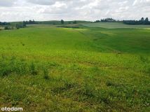 Działka rolno-budowlana Daniłowce. Zdjęcie 2