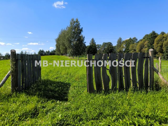 Działka rolna Wipsowo. Zdjęcie 8