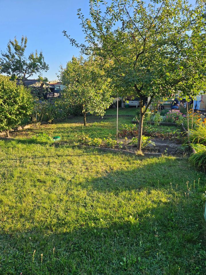 Działka rod Poznań Winogrady, ul. Serbska. Zdjęcie 2