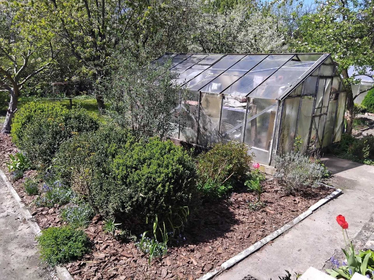 Działka rod Starogard Gdański, ul. Skarszewska. Zdjęcie 8