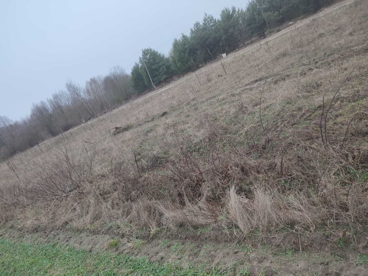 Działka budowlana Ciemniewo. Zdjęcie 4