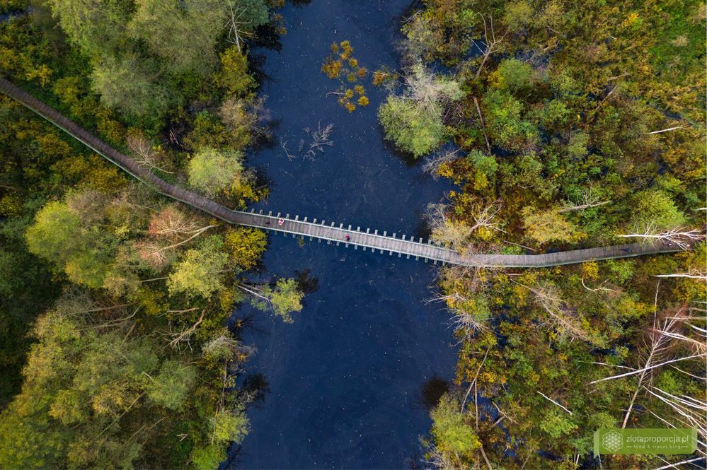 Działka budowlana Podbiel. Zdjęcie 3