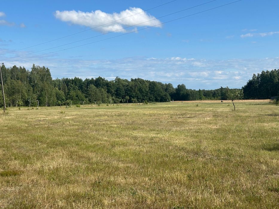 Działka budowlana Nowe Wągrodno