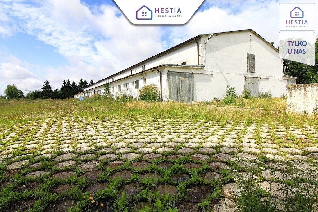 Hala/magazyn Strzyżno