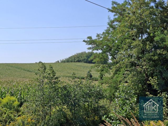 Działka budowlana Bodzanów. Zdjęcie 10