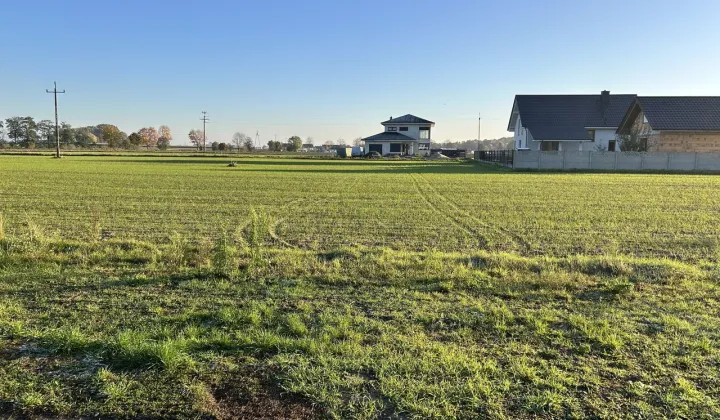 Działka budowlana Bucz, ul. Malinowa