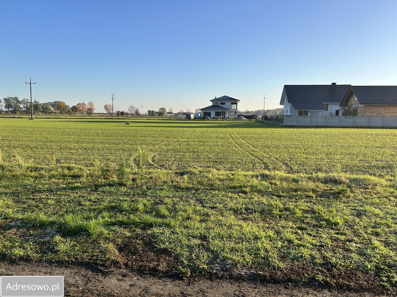 Działka budowlana Bucz, ul. Malinowa