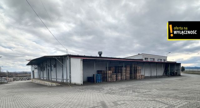 Hala/magazyn Racibórz, ul. Podmiejska. Zdjęcie 3
