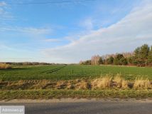 Działka budowlana Rozalin. Zdjęcie 1