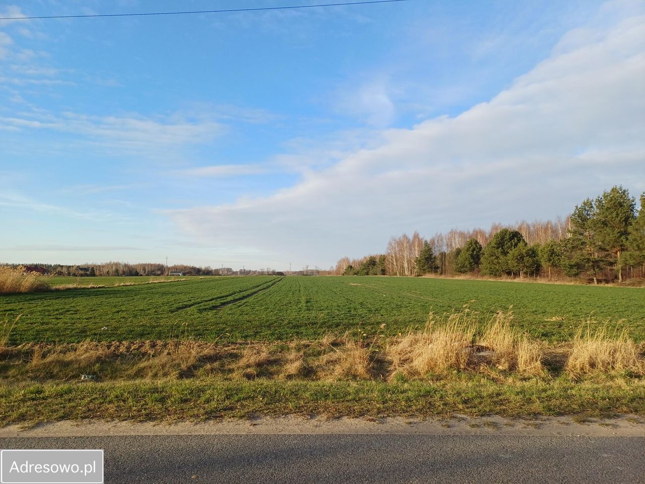 Działka budowlana Rozalin. Zdjęcie 2