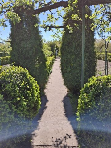 Działka rekreacyjna Gniewkowo. Zdjęcie 1