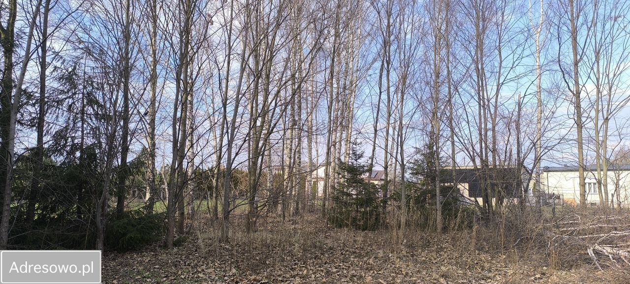 Działka budowlana Terespol, ul. Bolesława Prusa. Zdjęcie 14