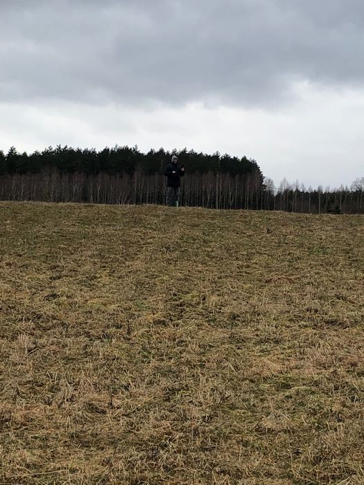 Działka budowlana Tomaszyn. Zdjęcie 1