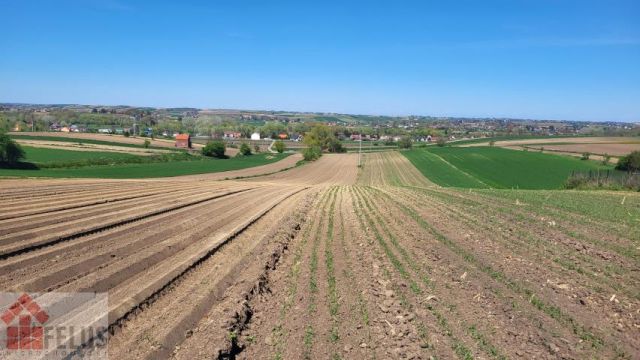 Działka budowlana Proszowice. Zdjęcie 9