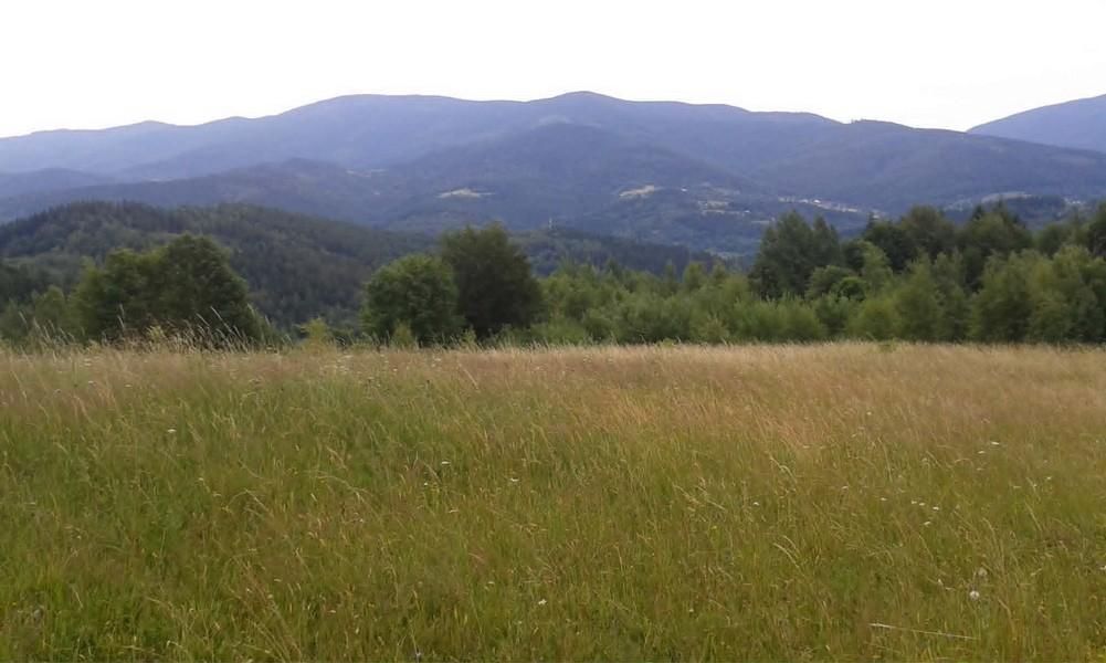 Działka rolno-budowlana Zawoja Dolina. Zdjęcie 6