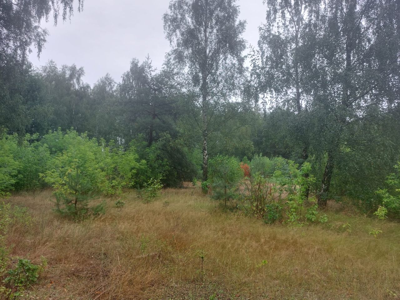 Działka rolna Perzanowo. Zdjęcie 1