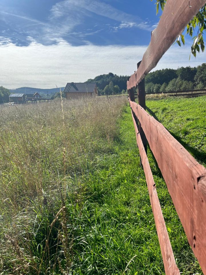 Działka budowlana Wieściszowice. Zdjęcie 4