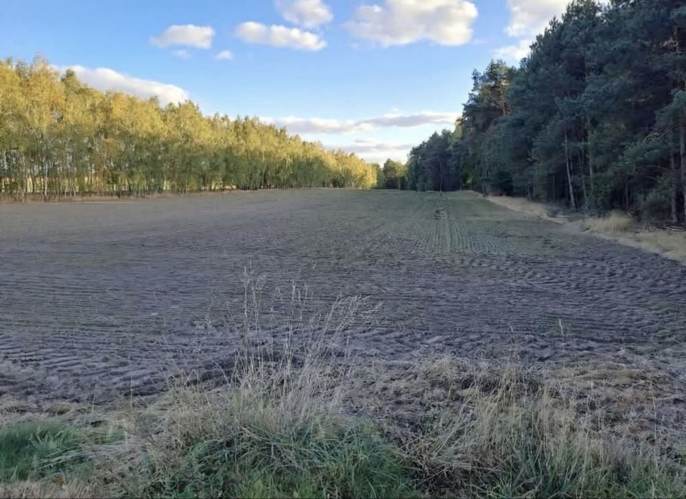 Działka budowlana Boroszków