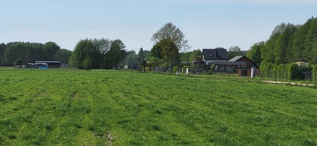 Działka rolno-budowlana Wilków. Zdjęcie 13
