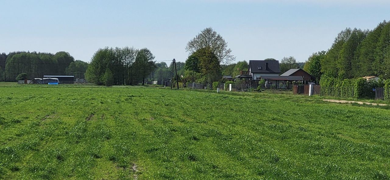 Działka rolno-budowlana Wilków. Zdjęcie 13