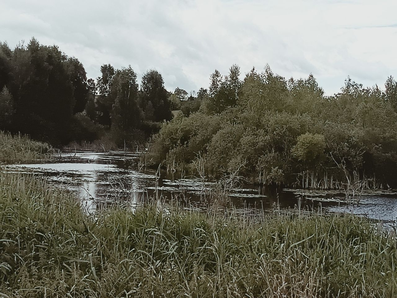 Działka inwestycyjna Naryjski Młyn. Zdjęcie 3