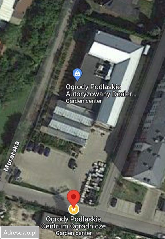 Hala/magazyn Siedlce, ul. Murarska. Zdjęcie 4