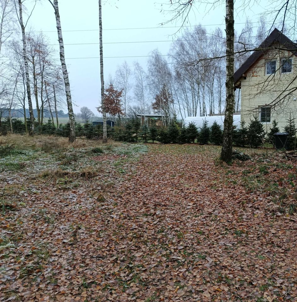 Działka budowlana Parlino. Zdjęcie 4