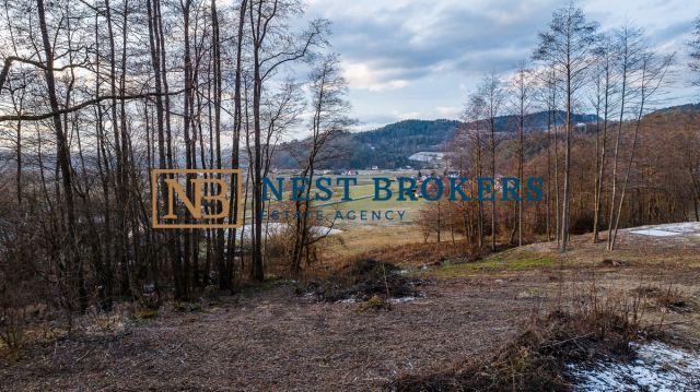 Działka budowlana Roztoka-Brzeziny. Zdjęcie 1