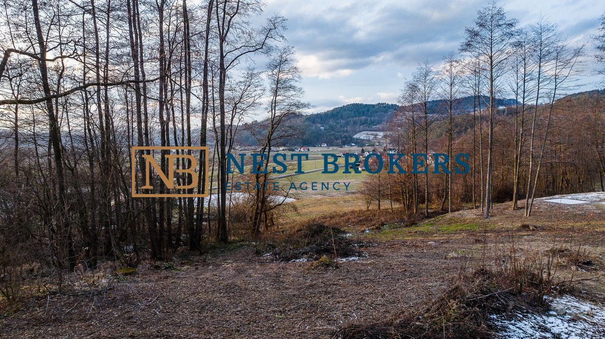 Działka budowlana Roztoka-Brzeziny