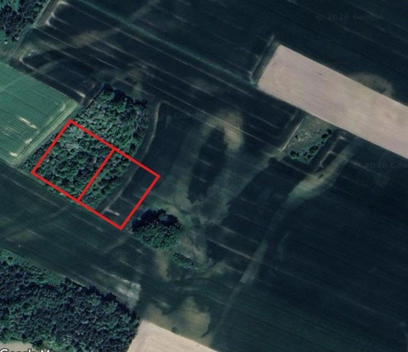 Działka rekreacyjna Łuczyna. Zdjęcie 5