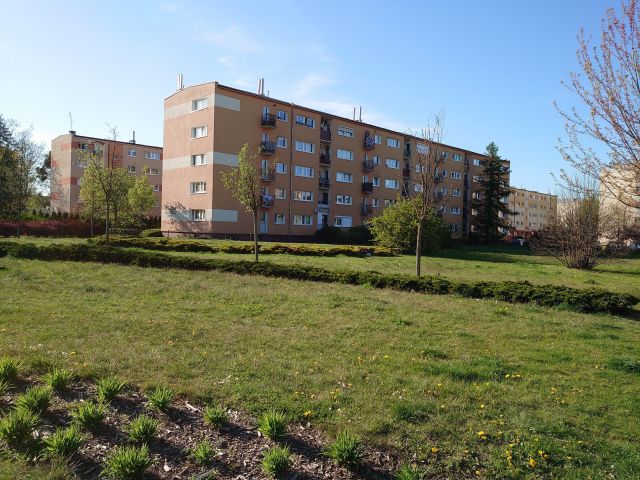 Mieszkanie 4-pokojowe Poznań Grunwald, ul. Jesienna. Zdjęcie 1