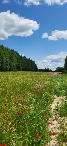 Działka budowlana Białopole, ul. Żołnierzy I AWP. Zdjęcie 1