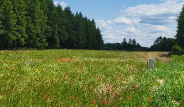 Działka budowlana Białopole, ul. Żołnierzy I AWP