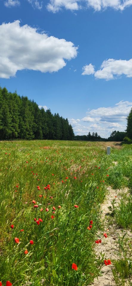 Działka budowlana Białopole, ul. Żołnierzy I AWP