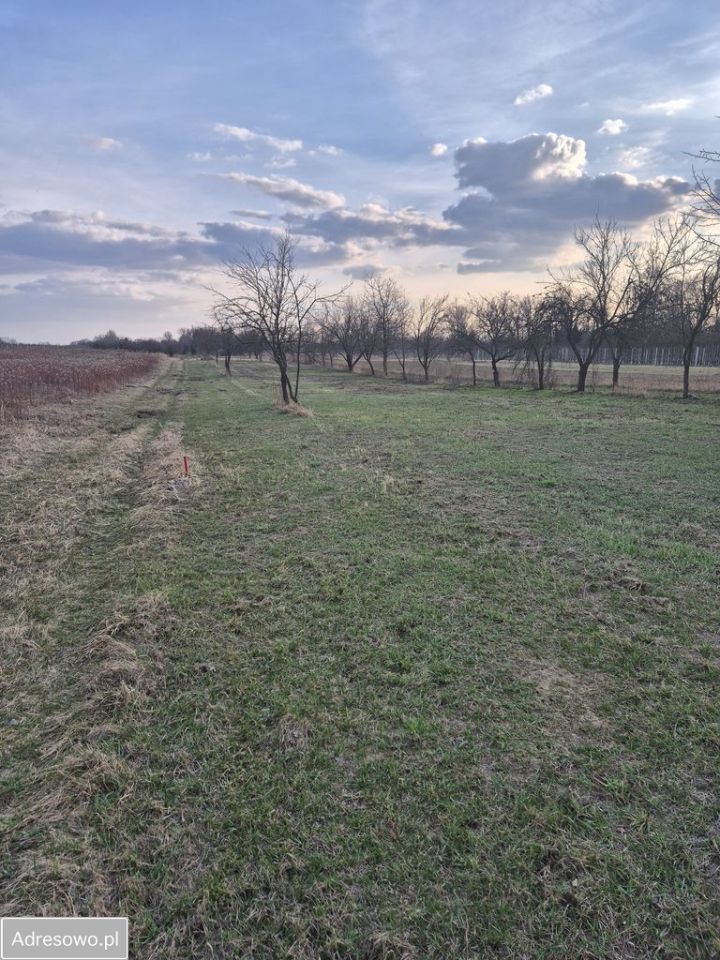 Działka rolna Kępa Nadbrzeska. Zdjęcie 2