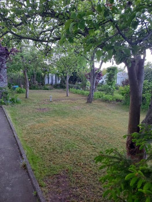 Działka rod Gdynia Babie Doły. Zdjęcie 8