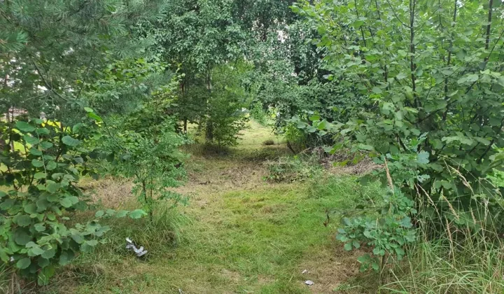 Działka siedliskowa Trojanowice, ul. Miechowska