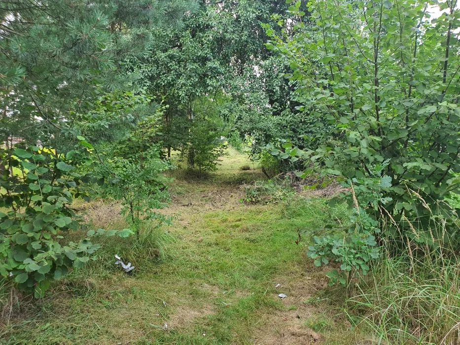 Działka siedliskowa Trojanowice, ul. Miechowska. Zdjęcie 5