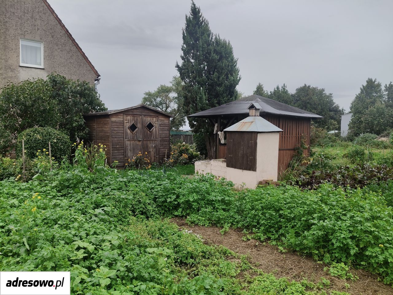Mieszkanie 3-pokojowe Modlikowice. Zdjęcie 16
