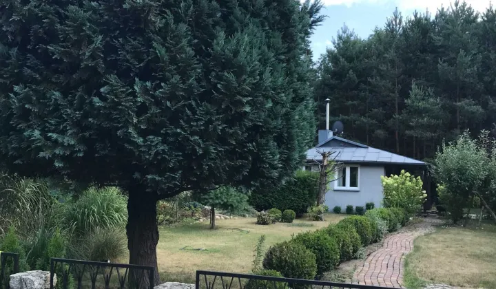 Działka rod Stoczki