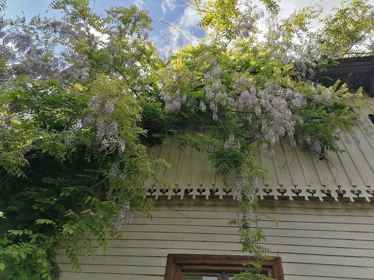 Działka budowlana Lipinki. Zdjęcie 11