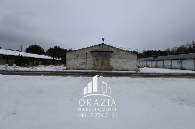 Hala/magazyn Wysoka Głogowska. Zdjęcie 3