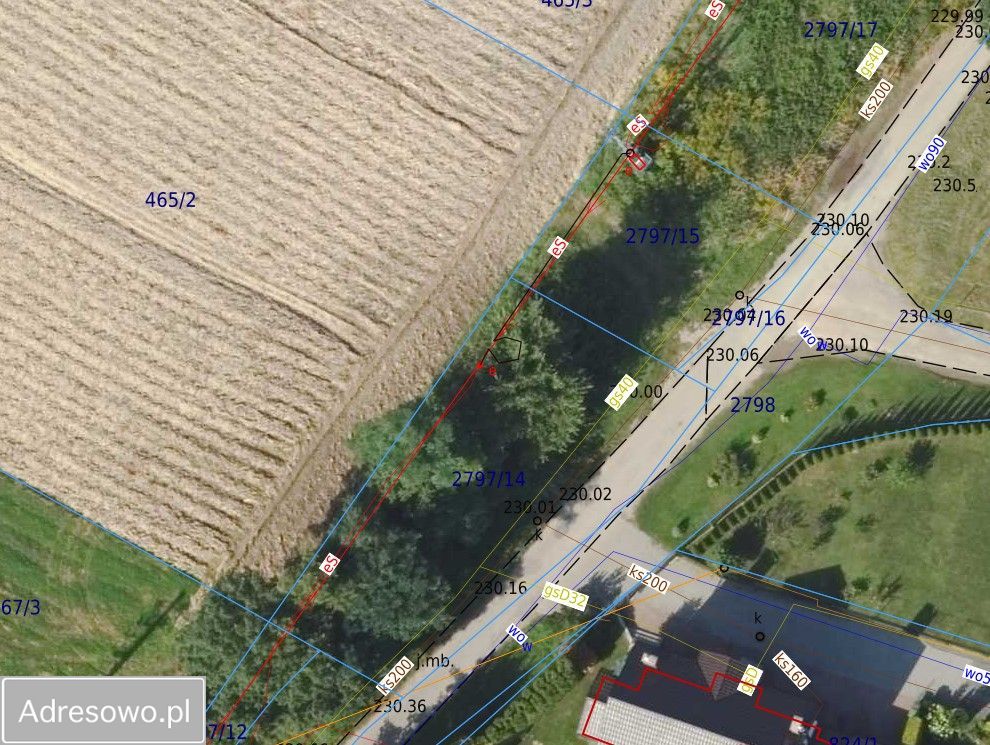 Działka inwestycyjna Cholerzyn. Zdjęcie 2
