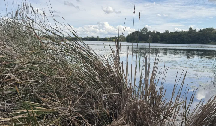 Działka budowlana Klusek