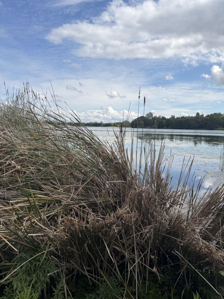 Działka budowlana Klusek. Zdjęcie 1