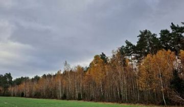 Działka leśna Głębocz Wielki