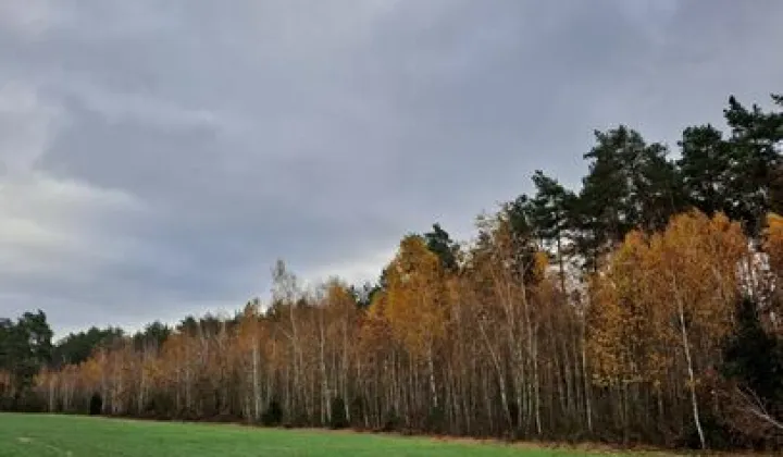 Działka leśna Głębocz Wielki