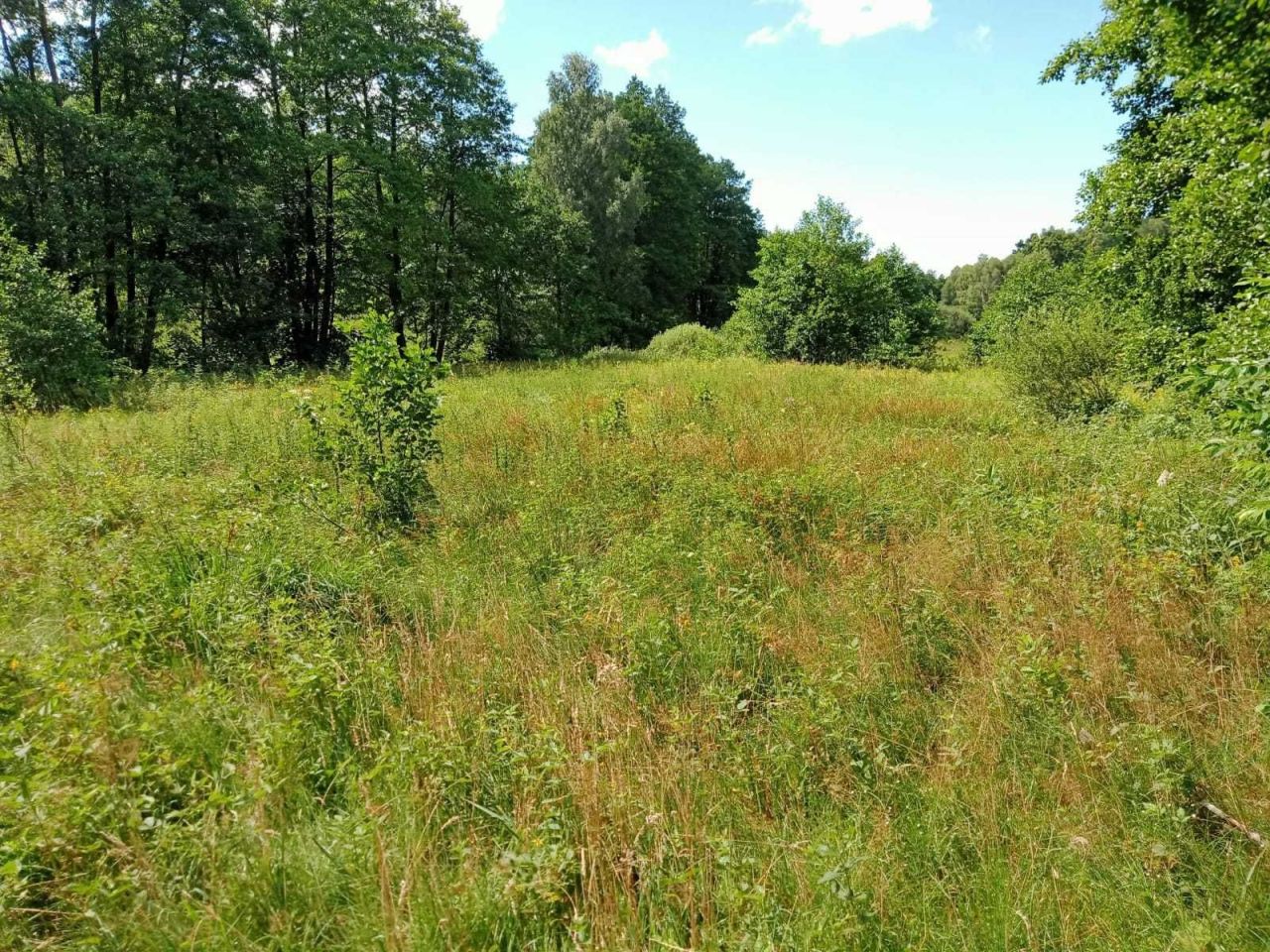 Działka rolna Koszalin. Zdjęcie 8