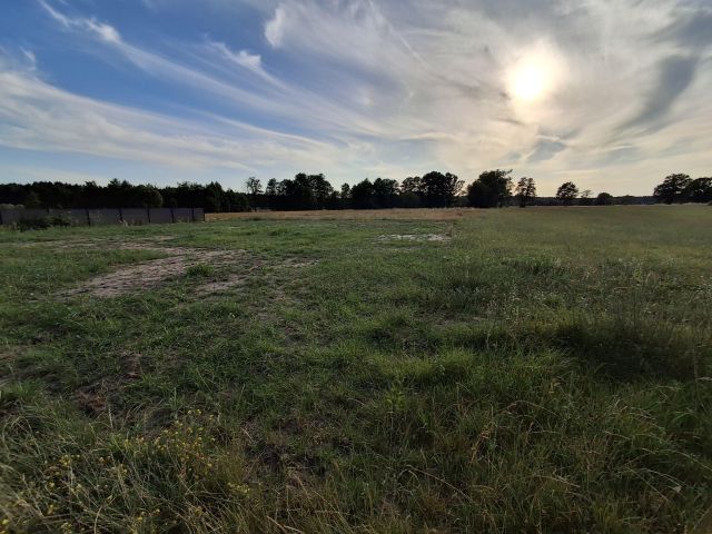 Działka budowlana Borki Teresin, ul. Teresińska. Zdjęcie 2